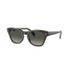 Ray Ban RB0707S
